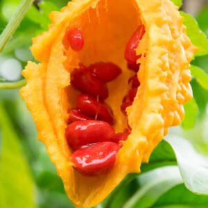 Cerasse Seeds (12)