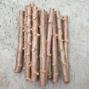 Cassava Cuttings - 4 pieces