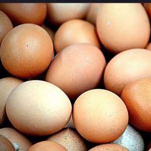 Chicken Eggs