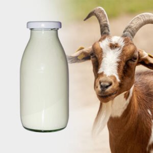 Raw Unpasteurized Goat's Milk for Animal use