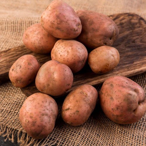 Japanese yellow sweet potato