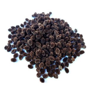 Papaya Seeds