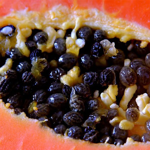 Papaya Seeds