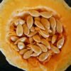 Pumpkin Seeds (12)