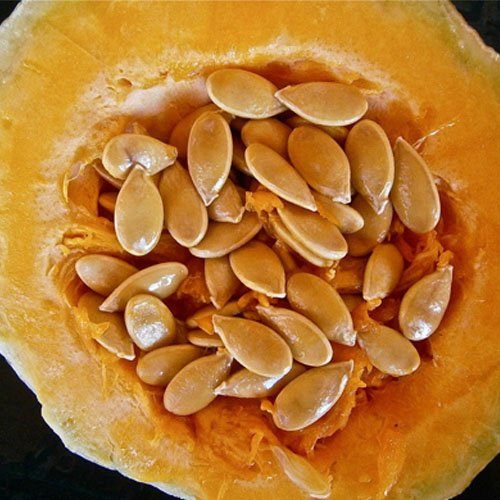 Pumpkin Seeds (12)