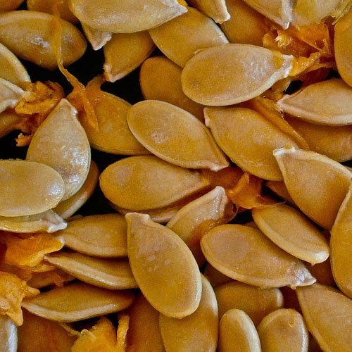 Pumpkin Seeds (12)