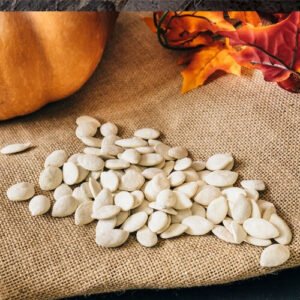 Squash Seeds (12)