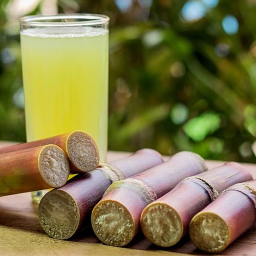 Sugarcane for eating – per cane