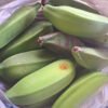 Orinoco/Frog/ Banana