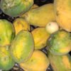 Papaya (ripe or green)