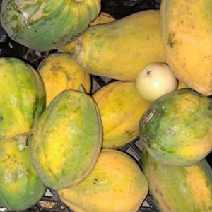 Papaya (ripe or green)